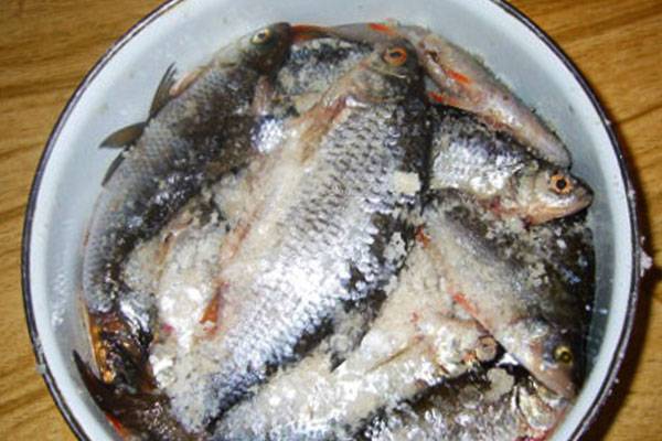 Описторхоз и обработка рыбы