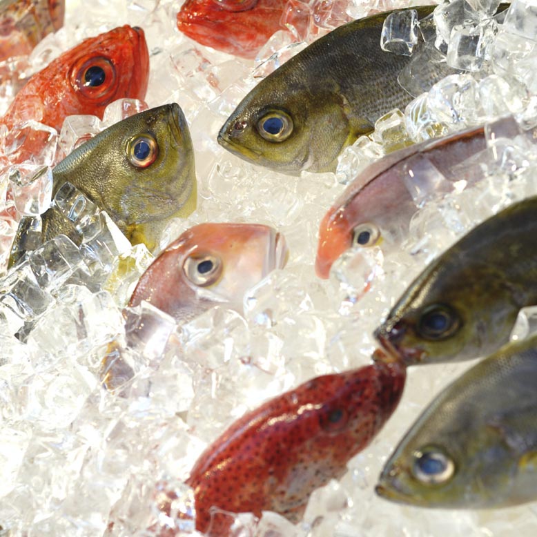 Описторхоз и заморозка рыбы