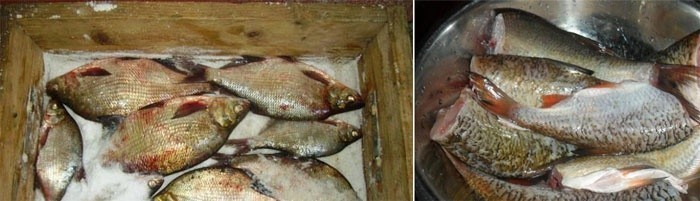 Рыбный продукт в маринаде