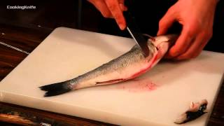 Разделка рыбы на филе.Как правильно разделать рыбу?