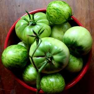 Зеленые помидоры икра