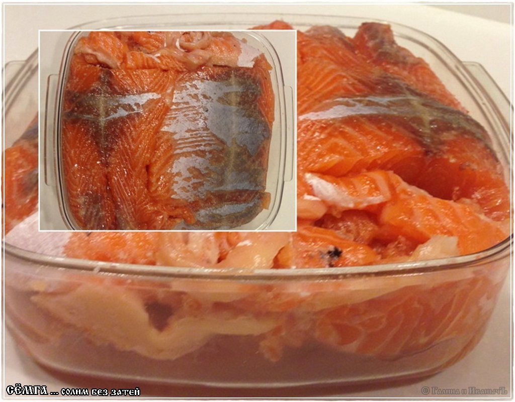 Красная рыба засолить дома рецепт 42