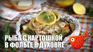 Рыба с картошкой в фольге в духовке — видео рецепт