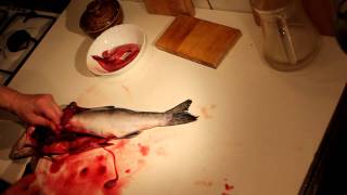 Чистка и разделка рыбы (красной) в домашних условиях