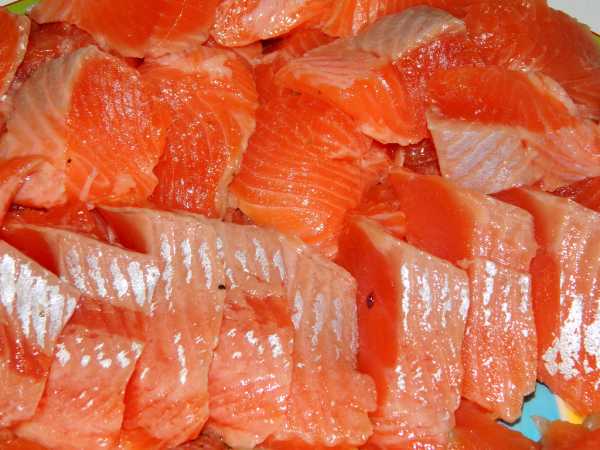 Рецепт соления красной рыбы в домашних условиях форель